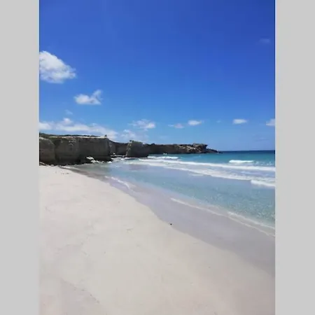 アパート Trilocale Vista Mare Con Piscina A *